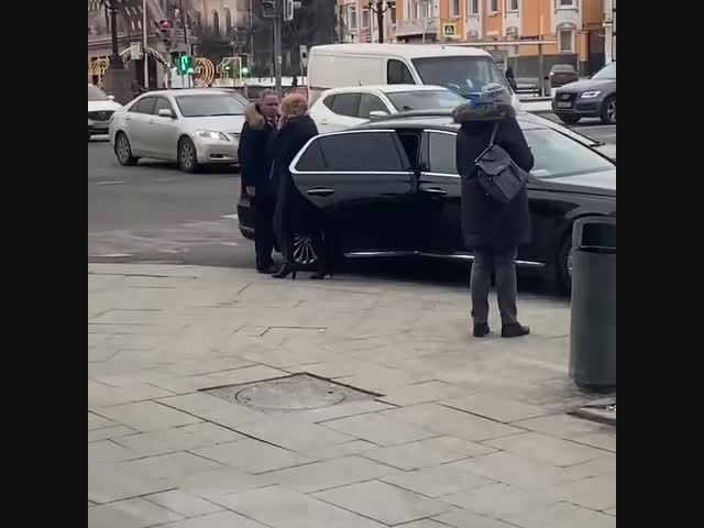 Персональный автомобиль Ирины Яровой припарковался на пешеходном переходе в Москве