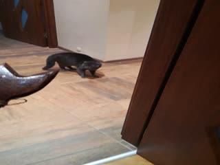 Когда вам не нравится подарок на новый год