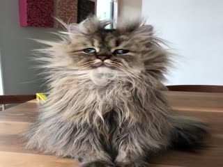 Когда вы просыпаетесь, и даже не знаете, какой сегодня день