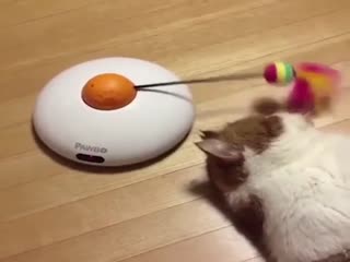 Жизнь -  это боль...