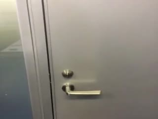 Что это за странная собачка?