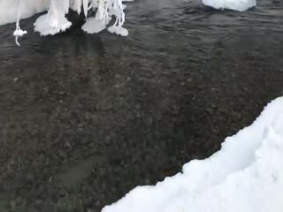 В глубоком минусе: видео с купанием жителей Якутии при -65°C набирают популярность в Сети