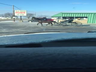 Амиш дрифтует на запряженной лошадью повозке