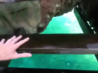 Секретный рай