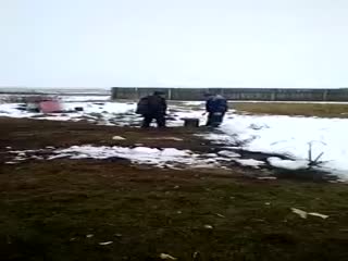 Вроде взрослые люди