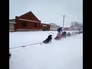 Вот это зима, вот это детство!