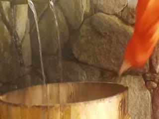 Капибары принимают водные процедуры