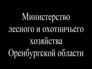 Курсанты отстой... Минлесхоз отжигает !!!
