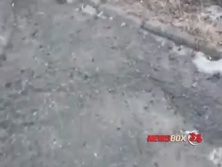 Житель Славянки пришел на помощь собаке, едва не оставшейся без языка