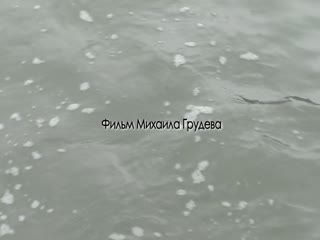 Короткометражный художественный фильм 