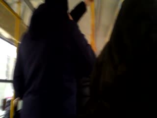 Бешеный безбилетник