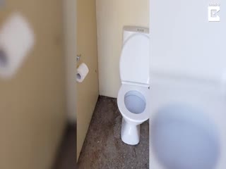 Во время посещения туалета австралийка обнаружила на рулоне туалетной бумаги гигантского паука