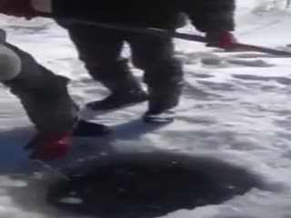 Типичные браконьеры