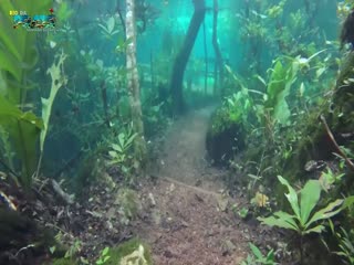 Сильные дожди создают невероятною красоту