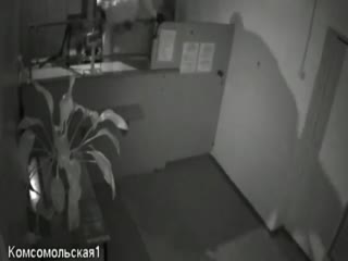 Вор попал в переплет