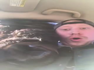 Покормил бизона