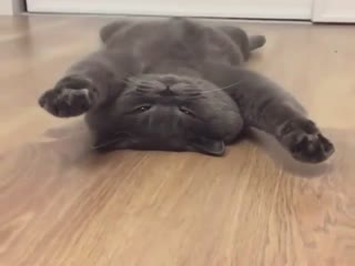 Доброе утречко!