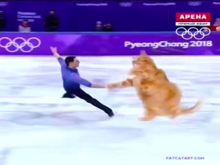 Кот на льду