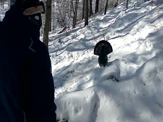 У кого-то весеннее настроение