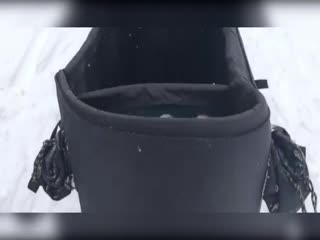 На Каме рыбак накормил шашлыком лису-воровку