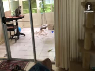 Кто это сделал?