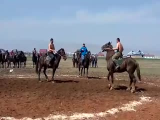 Получил копытом