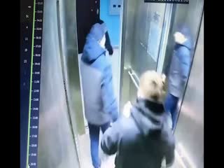 Урайский зассанец