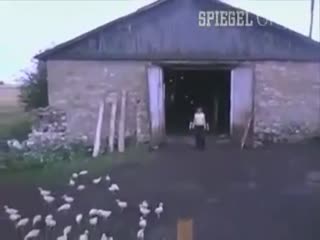 Строевая подготовка