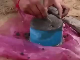 Whiskas своими руками...