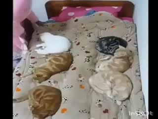 Антидепрессанты