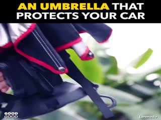 Осталось только зонт для зонта изобрести.