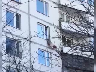 Московская пенсионерка решила покончить с собой и повисла