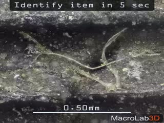 Вы никогда не догадаетесь, что это такое