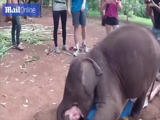 Был так рад