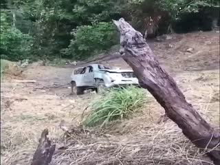 Можно было и не доставать