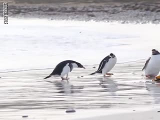 Это я на море, когда отпуск дали в апреле