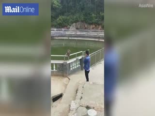 Макака отомстила туристу, скинувшему ее в пруд в китайском храме