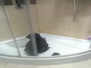 Чистота - залог здоровья!