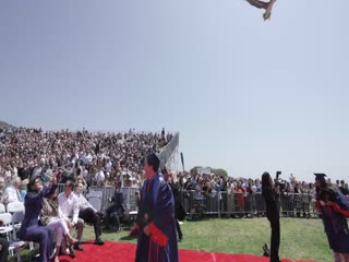 В США пеликаны устроили переполох во время выпускного в университете