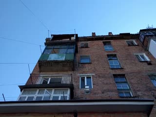 Белка в городе