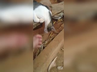 Это ж надо так спать!