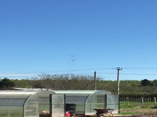 Красавцы!!! На парад Победы 2018 полетели...