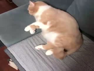 Что же там такое снится?