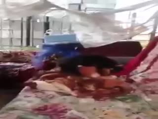 Сумасшедшая собака