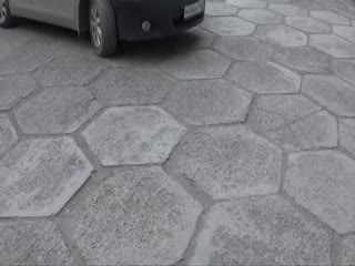 Водитель и пешеход