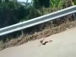 Бесстрашная мать