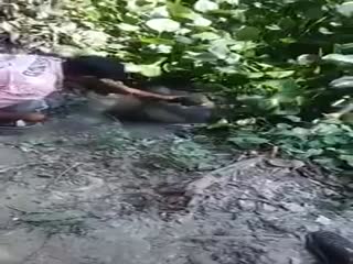 Сунул Грека руку в реку