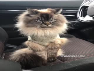 Мстя будет страшной