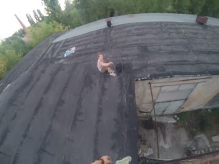 Видео о вреде паркура