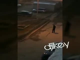 Дошумелись